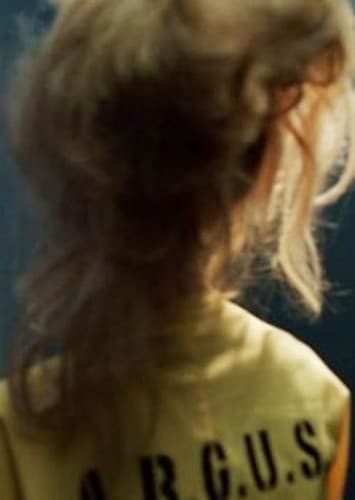 Harley Quinn (Arrow)