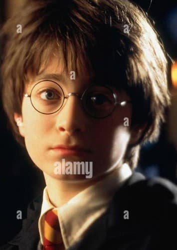 Harry Potter (voice)