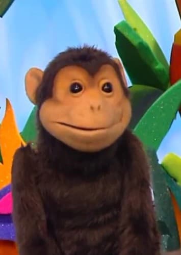 Hector the Spider Monkey