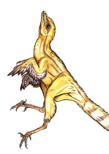Hesperonychus