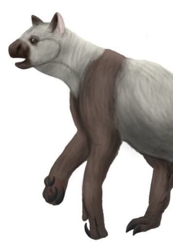 Hesperotherium