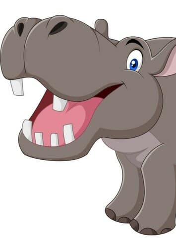 Hippopotamus