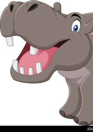 Hippopotamus