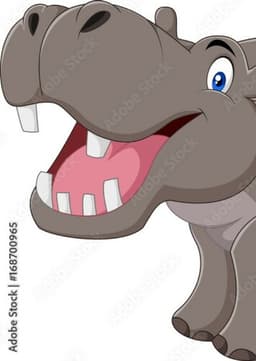Hippopotamus