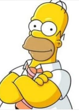 Homer Simpson