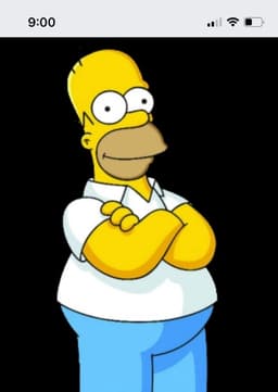 Homer Simpson