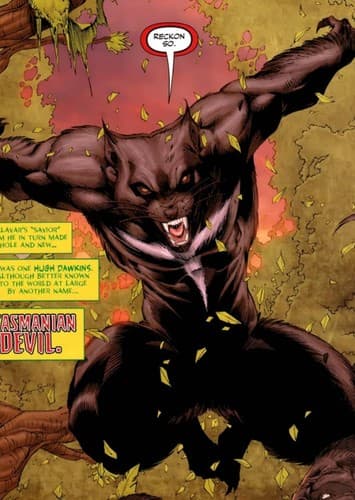 Tasmanian Devil / Hugh Dawkins