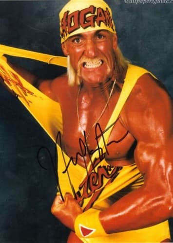 Hulk Hogan