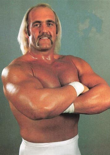 Hulk Hogan