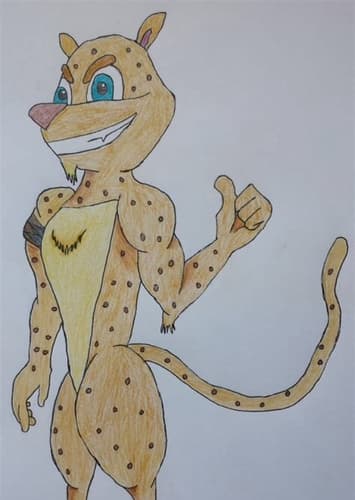 Hunter the Cheetah