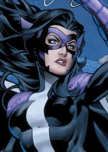 Huntress / Helena Bertinelli