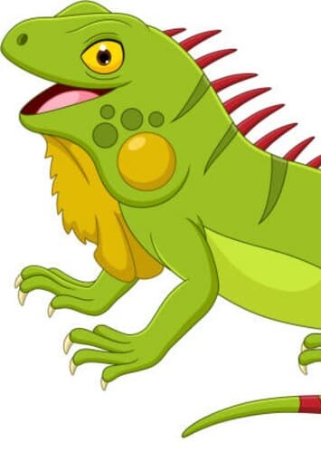 Iguana