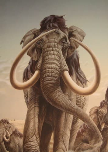 Imperial Mammoth