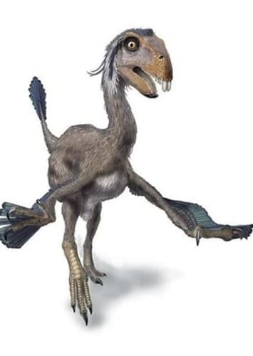 Incisivosaurus