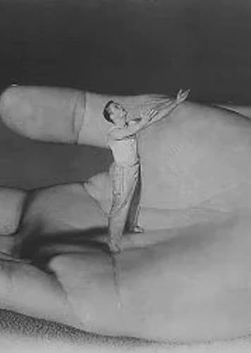 Incredible Shrinking Man