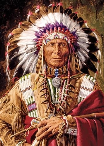 Indian Chief