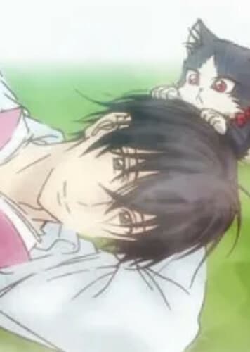 Introverted Cat Person