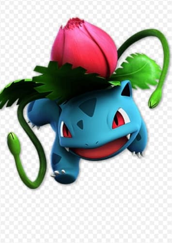 Ivysaur/ Bulbasaur