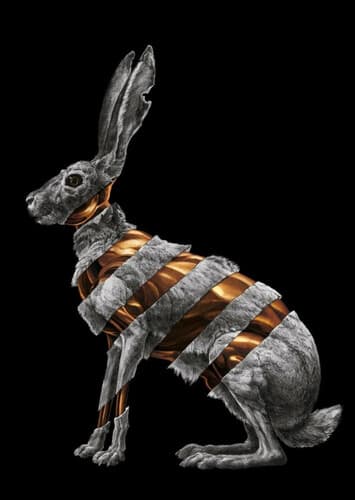 Jackrabbit - San Fermin