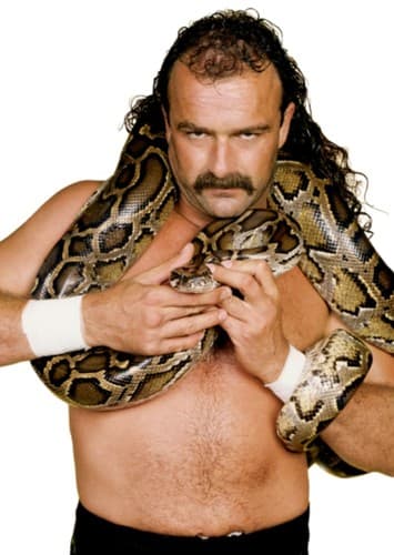 Jake Roberts