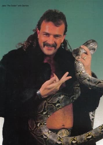 Jake Roberts