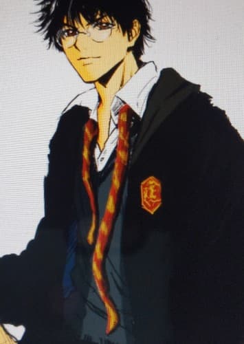 James Potter