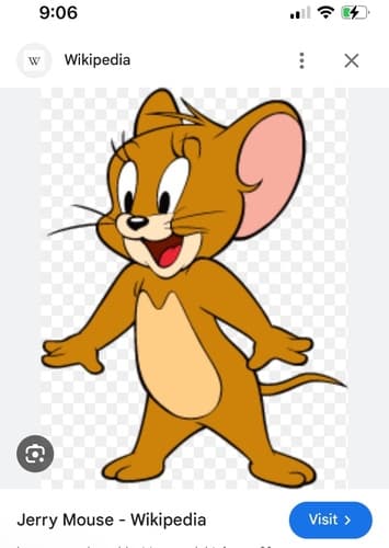Jerry mouse