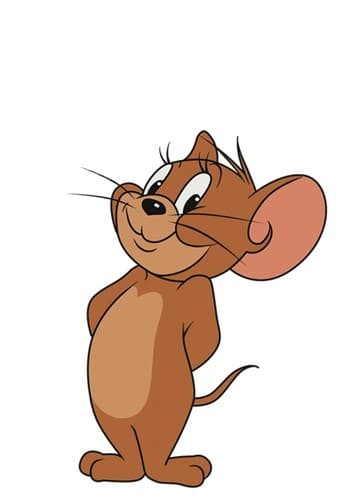 Jerry The Mouse