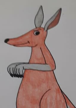 Joey the Kangaroo