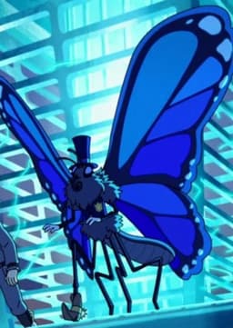 Judge Morpho