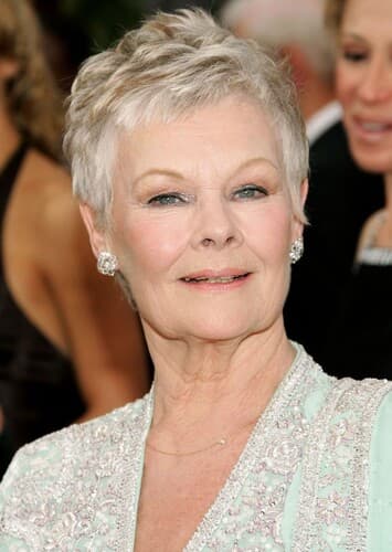 Judi Dench 🏆