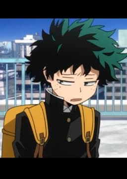 DEKU / IZUKU MIDORIYA
