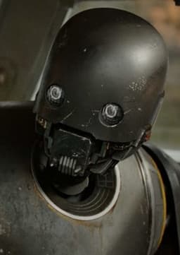 K-2SO