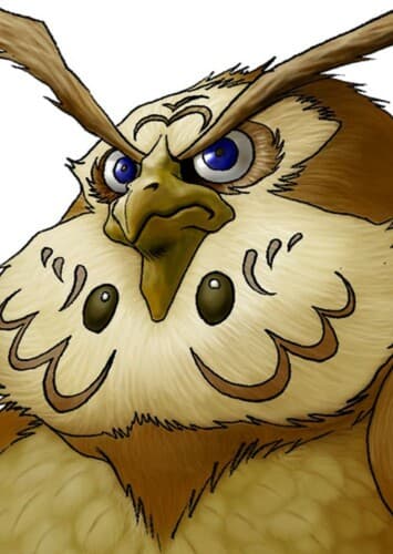 Kaepora Gaebora/Rauru