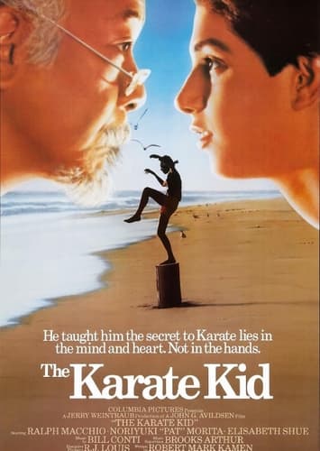 Karate Kid Universe
