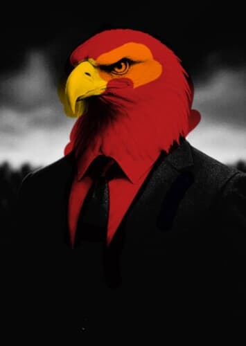 Kayla The Bald Eagle