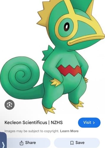 Keckleon