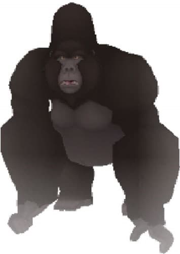 Kerchak