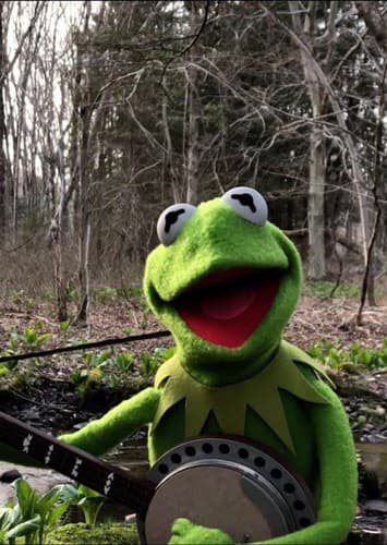 Kermit The Frog