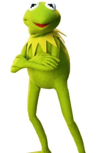 Kermit The Frog