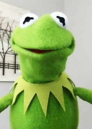 Kermit The Frog