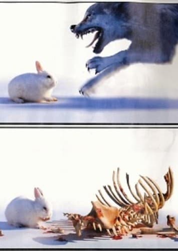 Killer Rabbit