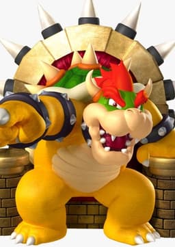 King Bowser Koopa