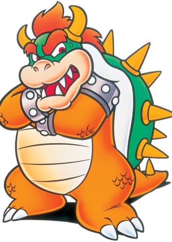 King Bowser Koopa