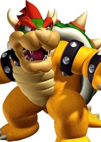 King Bowser Koopa