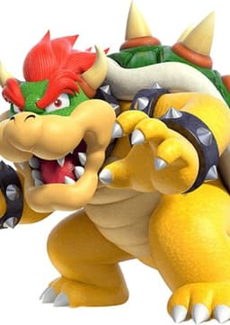 King Bowser Koopa