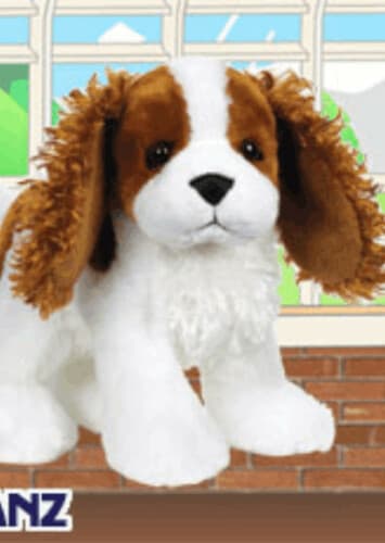 King Charles Spaniel