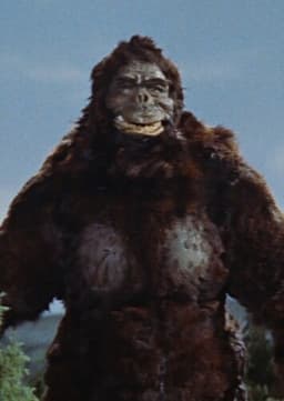 King Kong