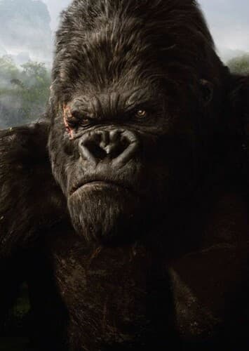 King kong