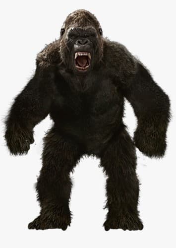 King Kong